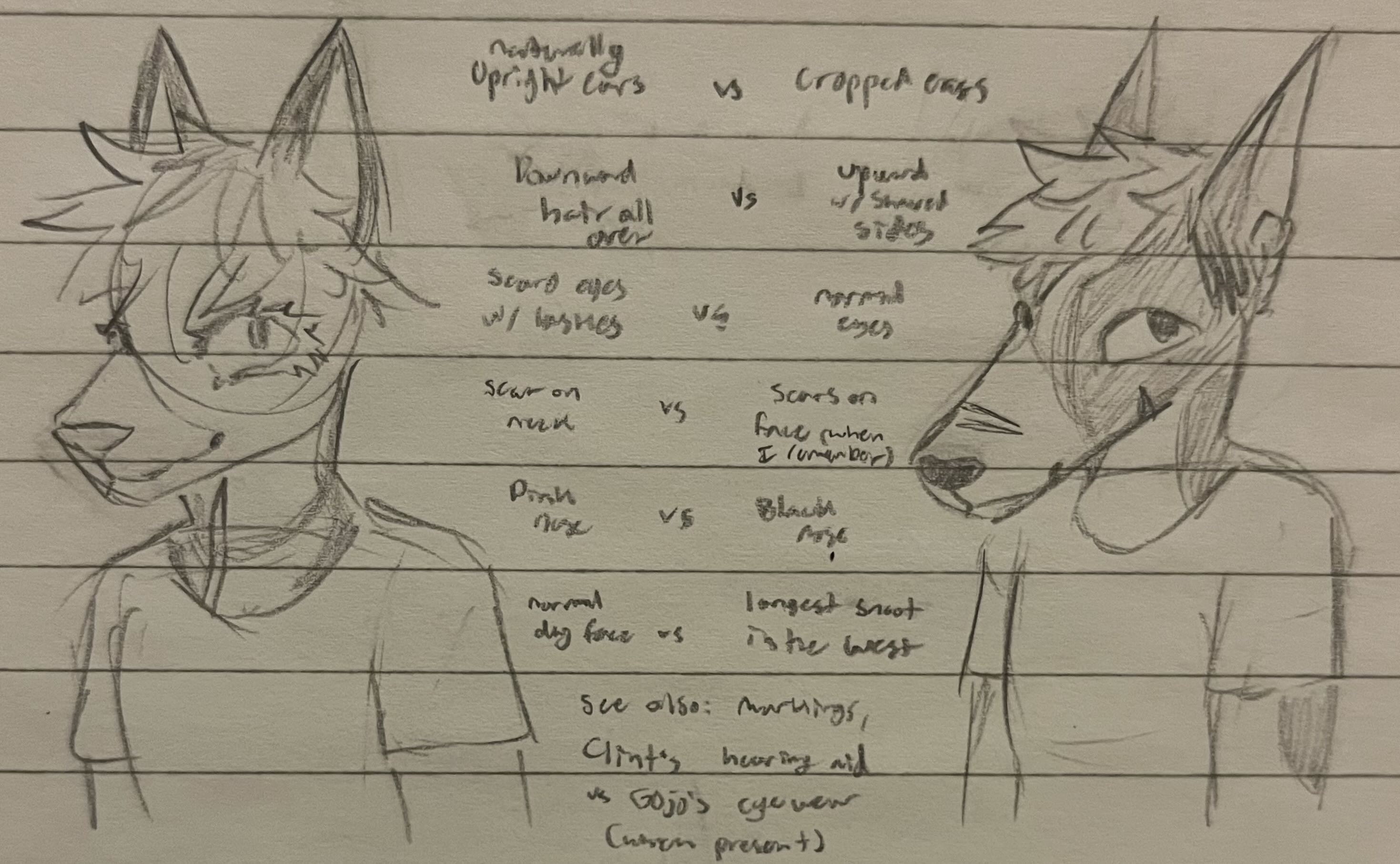 Satoru Gojo, Clint Barton. My sibling thought a furry Clint doodle was of Gojo, so I made this helpful guide to tell them apart